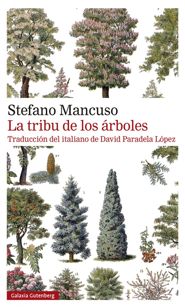 La tribu de los árboles