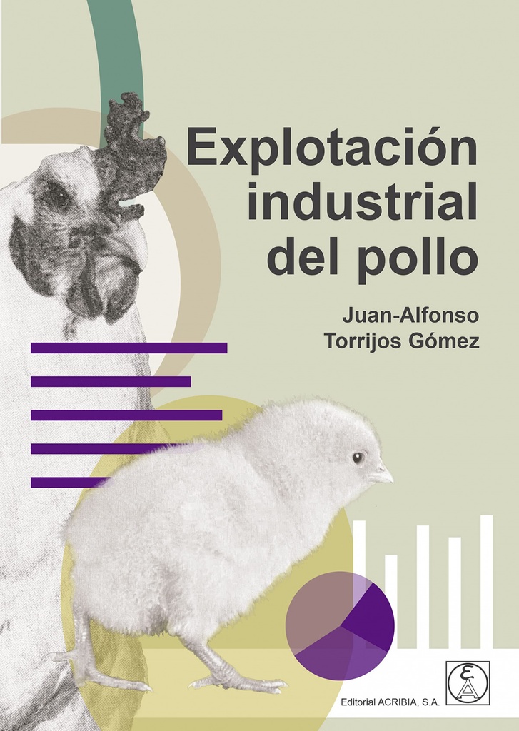 Explotación industrial del pollo