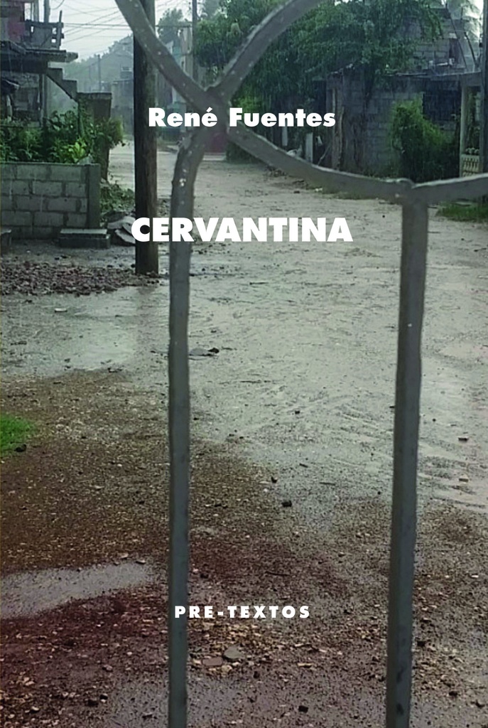 Cervantina