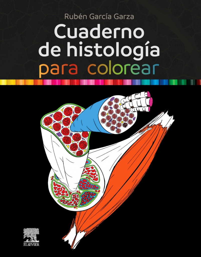 Cuaderno de histologia para colorear