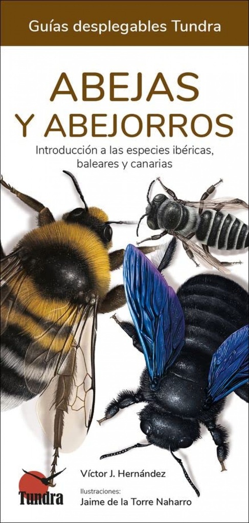 ABEJAS Y ABEJORROS - GUIAS DESPLEGABLES TUNDRA