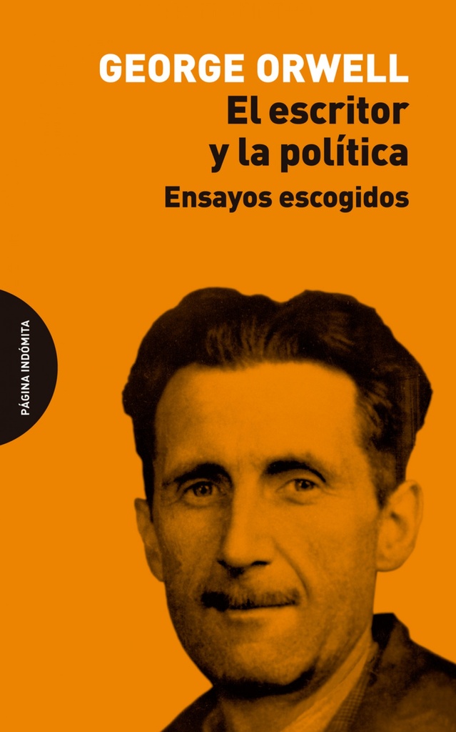 El escritor y la política