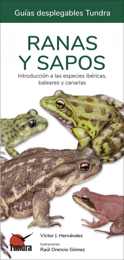 RANAS Y SAPOS - GUIAS DESPLEGABLES TUNDRA