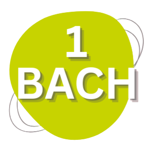 1 BACHILLERATO BON SOLEIL