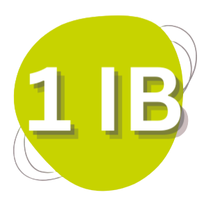 1IB BON SOLEIL