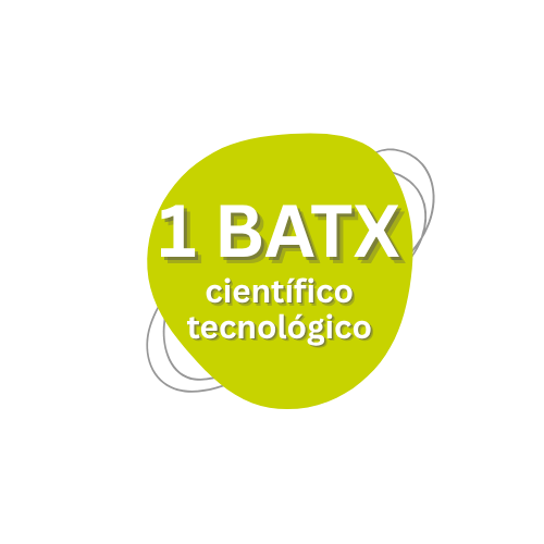 1 BATX CIENTÍFICO-TECNOLÓGICO INS LLUIS SERT