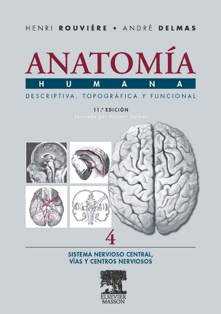 Anatomia humana descriptiva topografica funcional