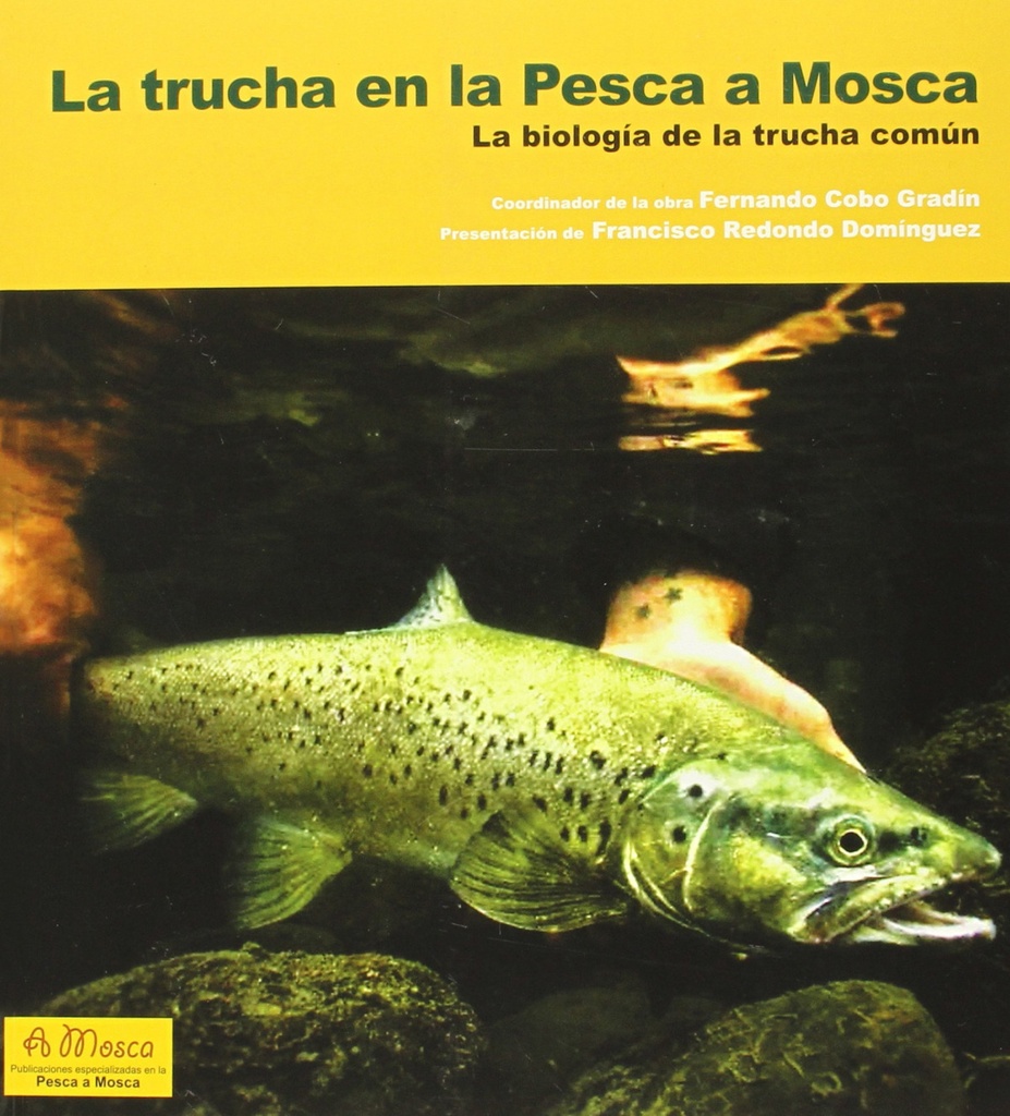 La trucha en la pesca a mosca