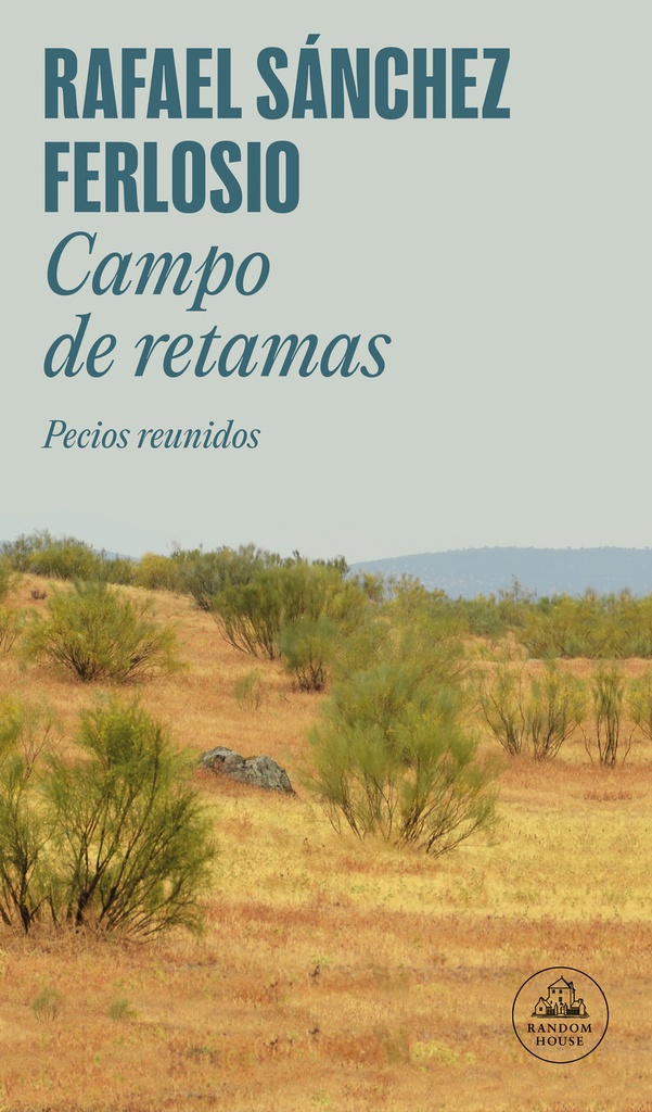 Campo de retamas