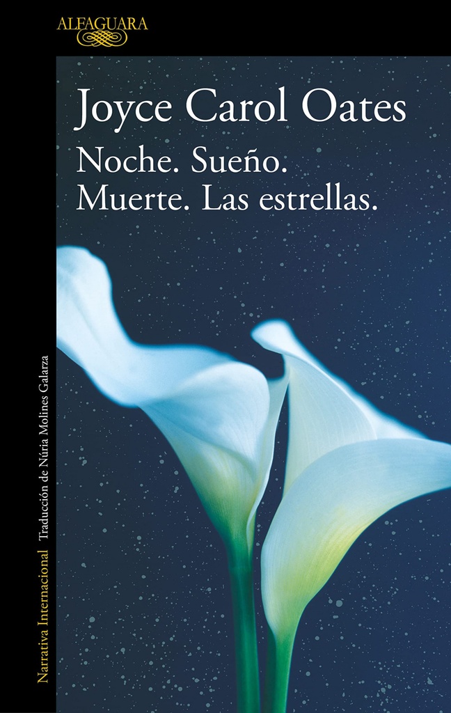 Noche.sueño.muerte.las estrellas