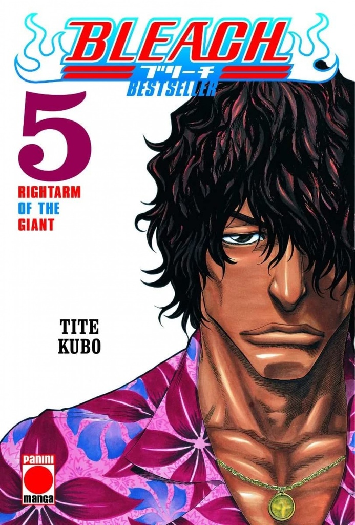 BLEACH BESTSELLER 05