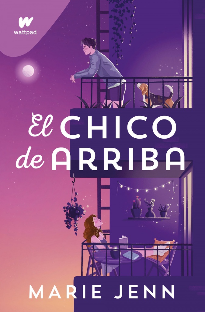 El chico de arriba