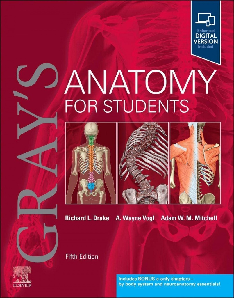 Gray´s anatomy for students