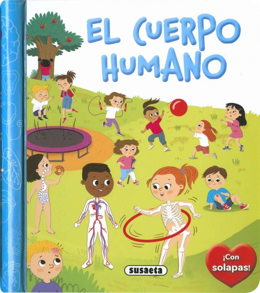 El cuerpo humano