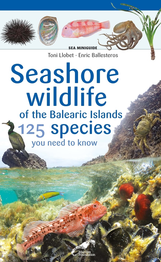 Seashore wildlife of the Balearic Islands