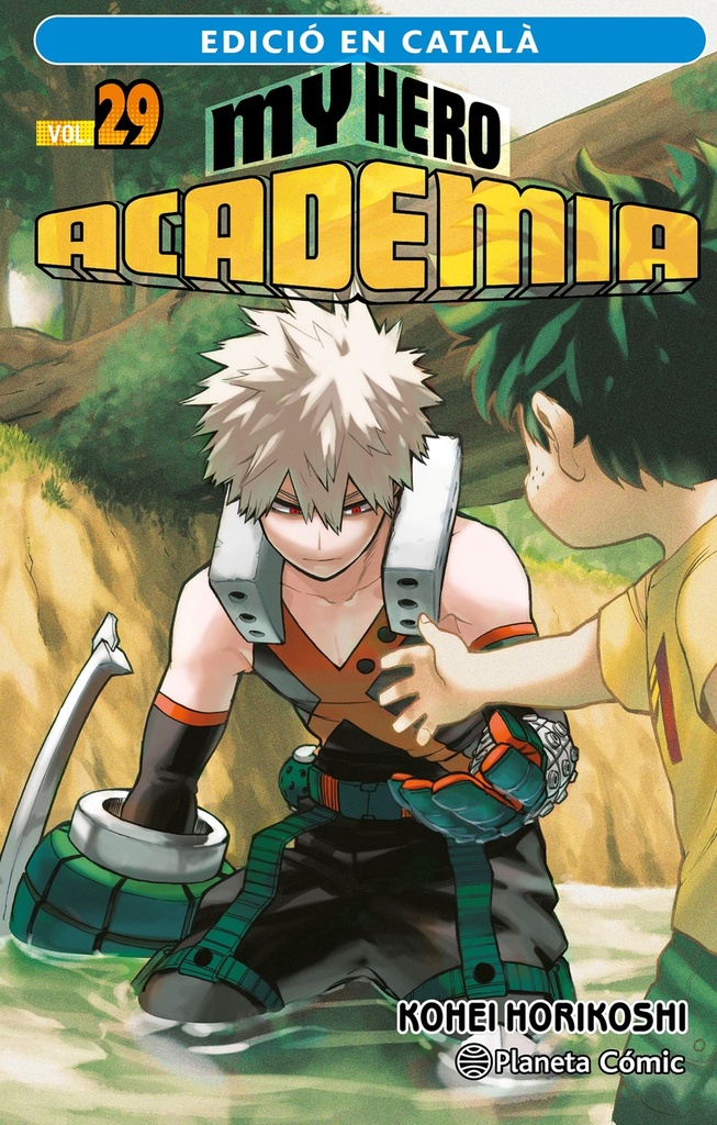 My Hero Academia nº 29 (català)