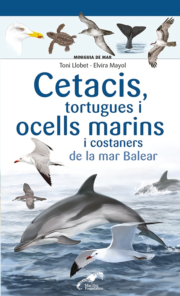 Cetacis, tortugues i ocells marins i costaners de la mar Balear