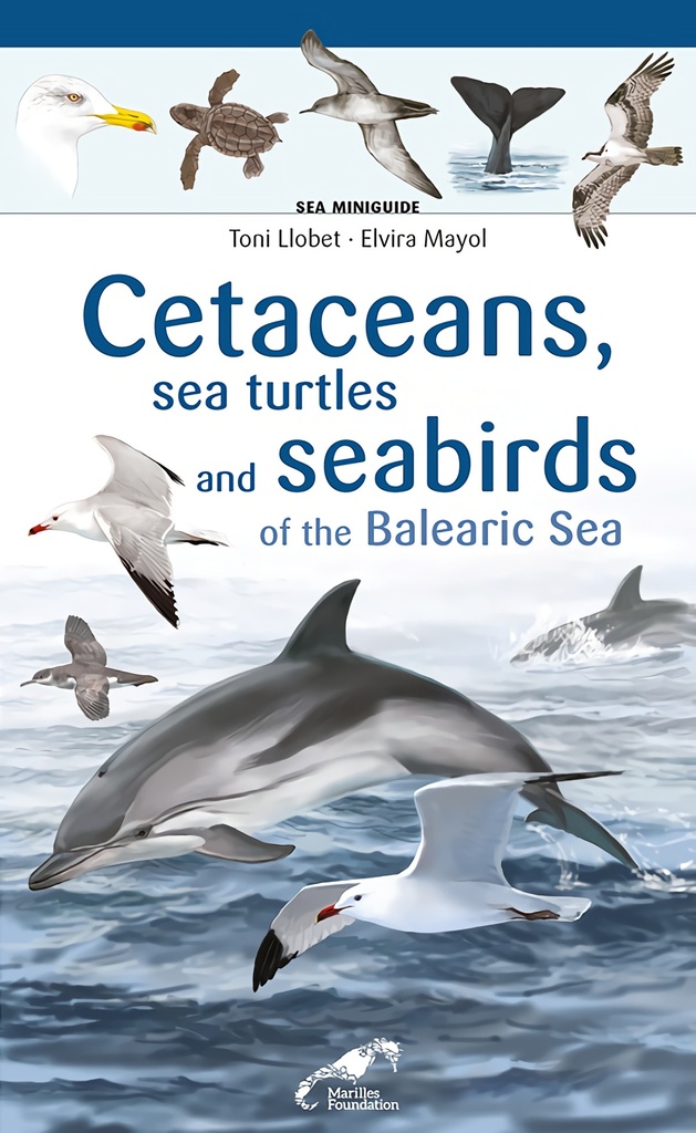 Cetaceans, sea turtles and seabirds of the Balearic Sea