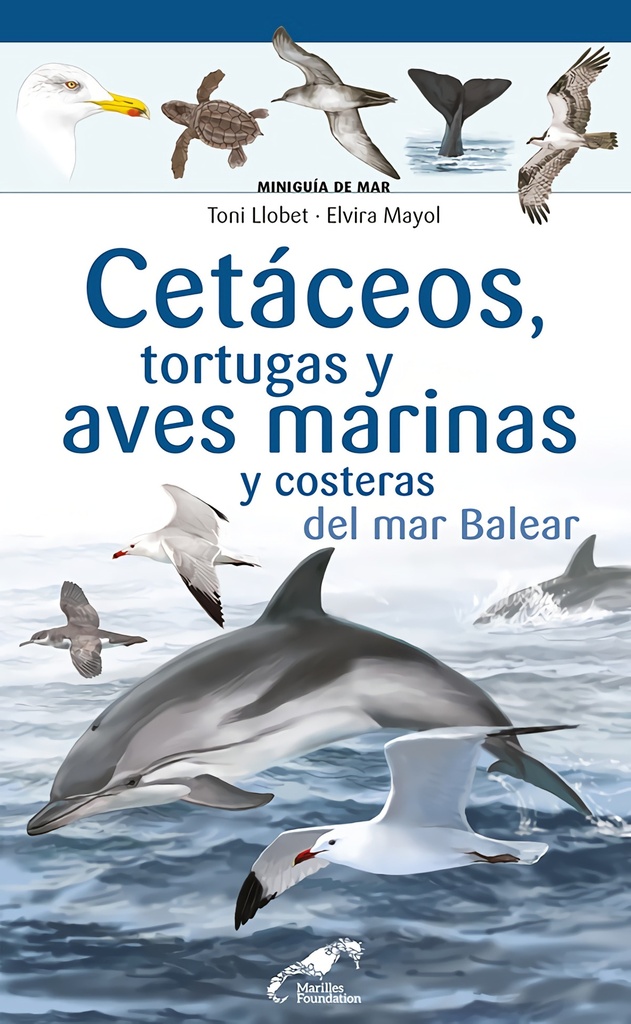 Cetáceos, tortugas y aves marinas y costeras del mar Balear