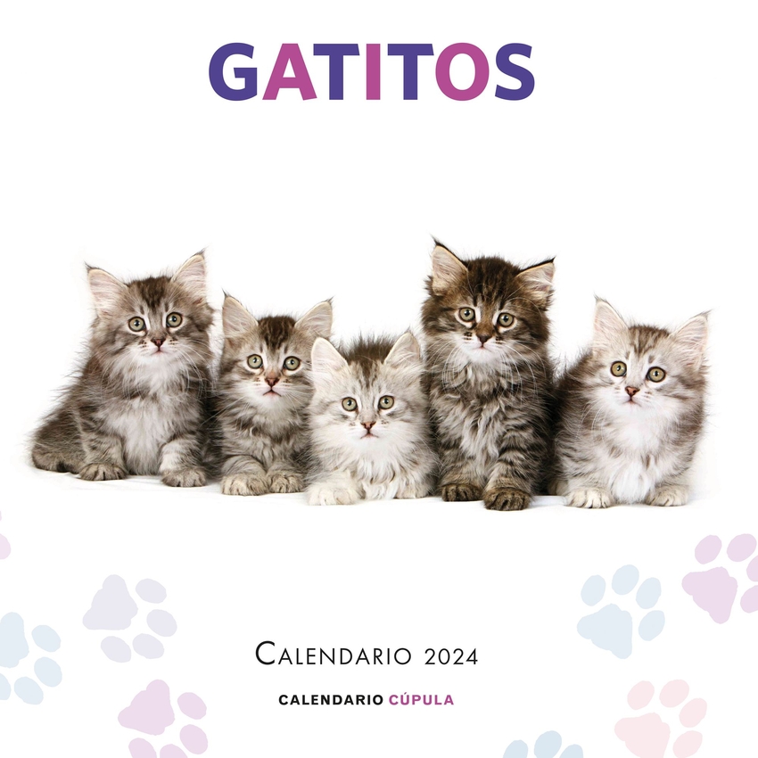 Calendario Gatitos 2024