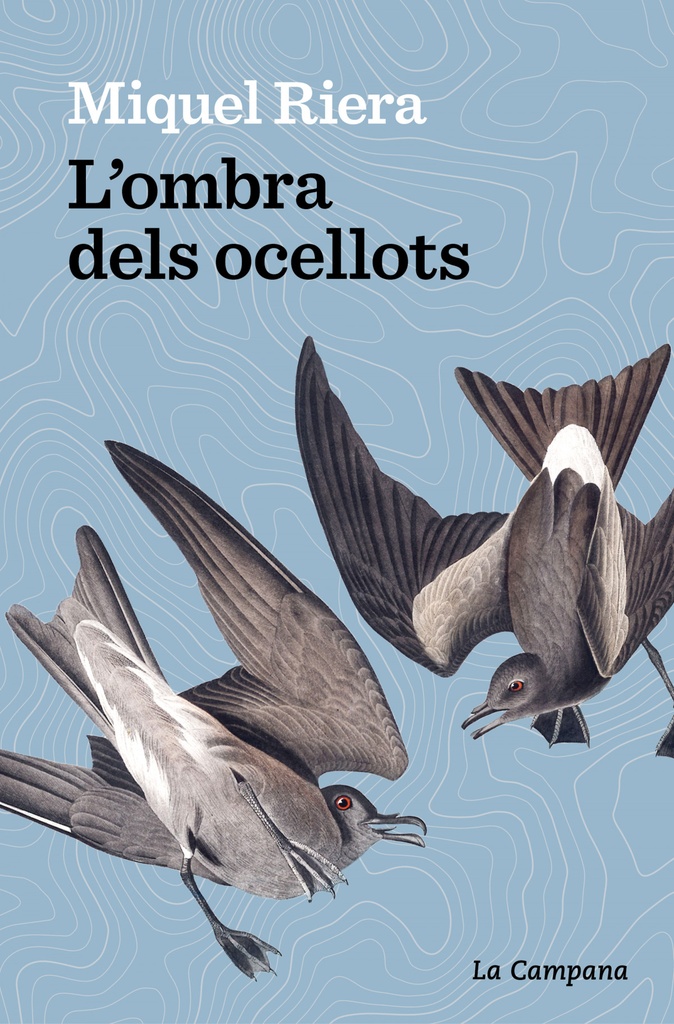 L´ombra dels ocellots