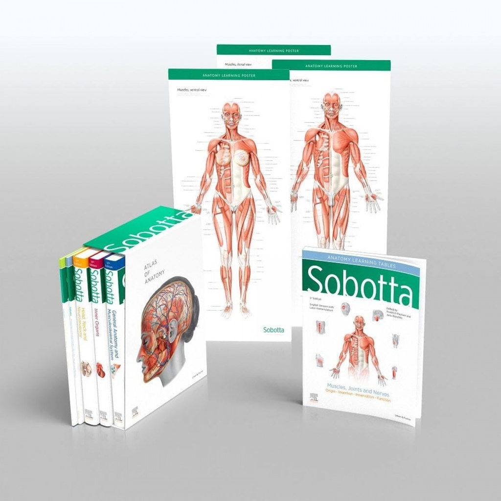 SOBOTTA ATLAS OF ANATOMY