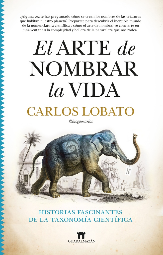 El arte de nombrar la vida