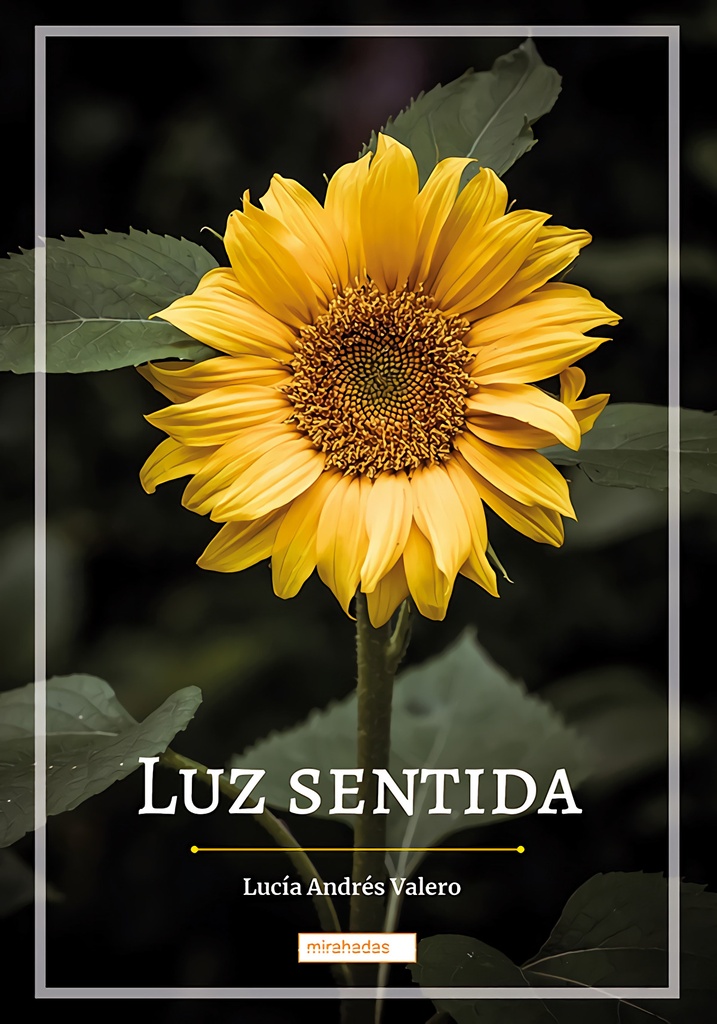 Luz sentida