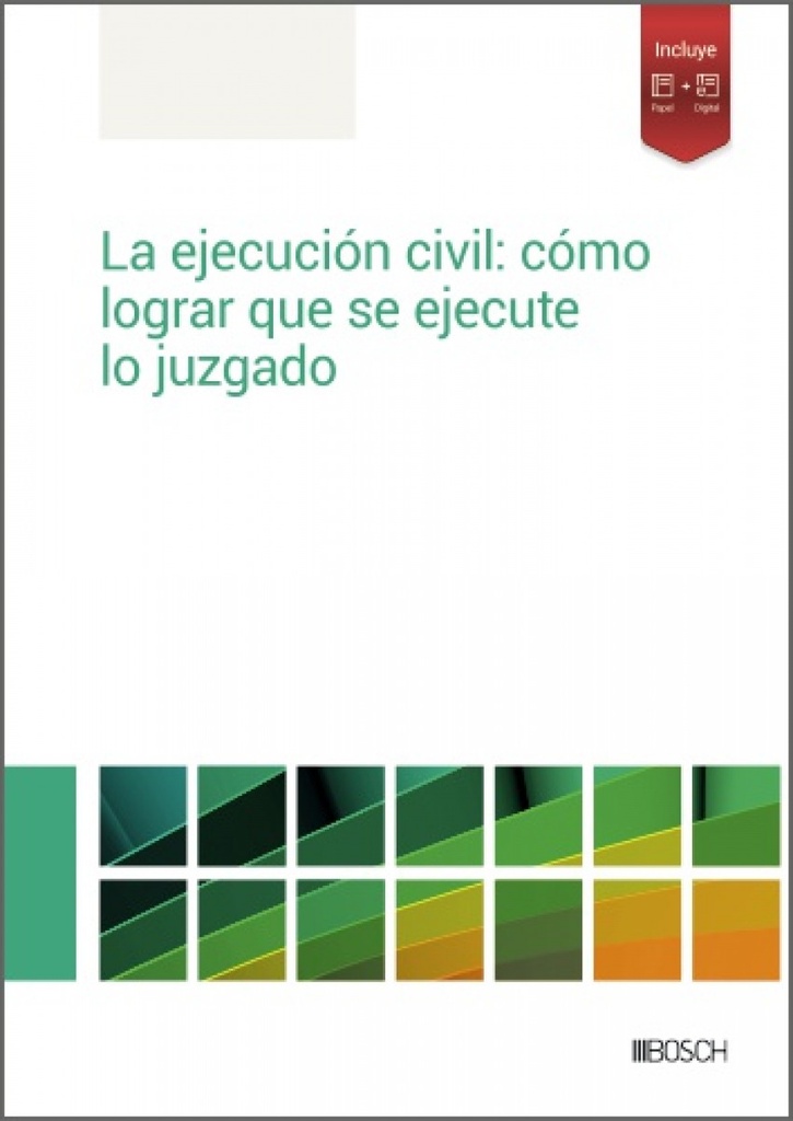 La ejecución civil: cómo lograr que se ejecute lo juzgado