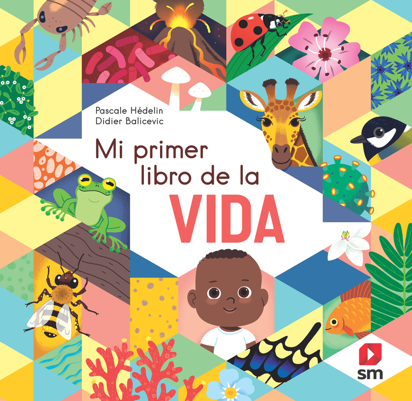 Mi primer libro de la vida