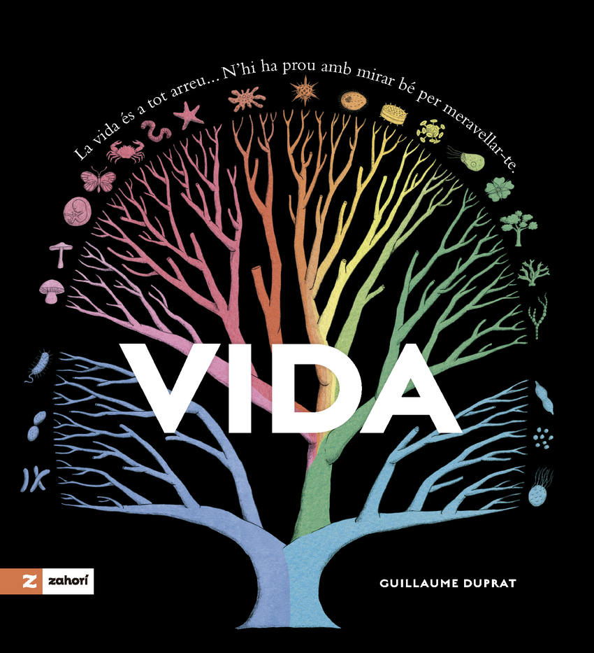 Vida