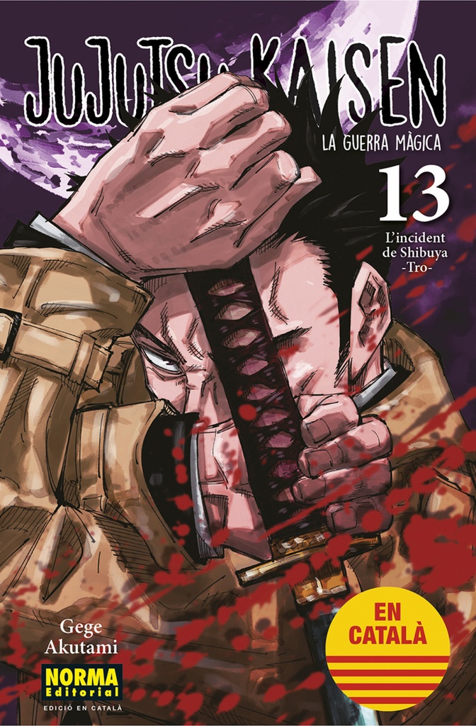 JUJUTSU KAISEN 13 CATALA