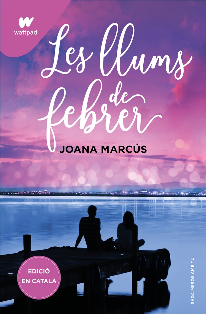 Les llums de febrer (Mesos amb tu 4)