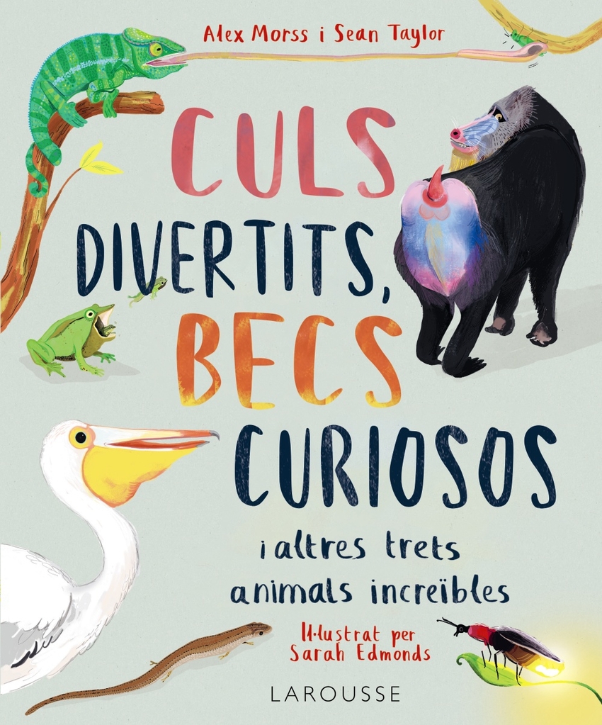 Culs divertits, becs curiosos