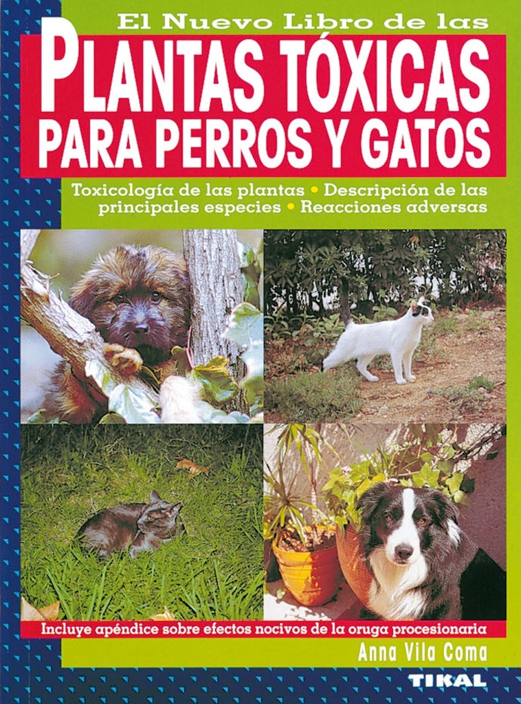 Plantas tóxicas para perros y gatos