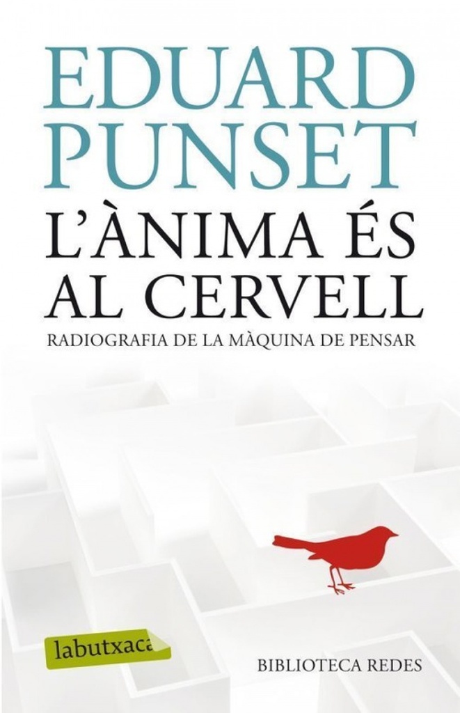 L´ànima és al cervell