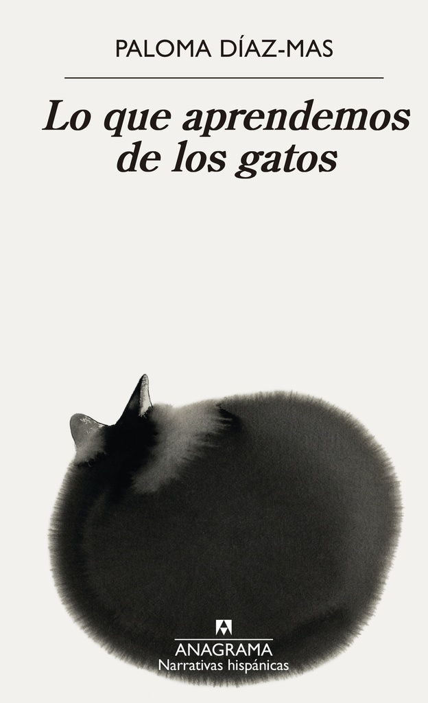 Lo que aprendemos de los gatos