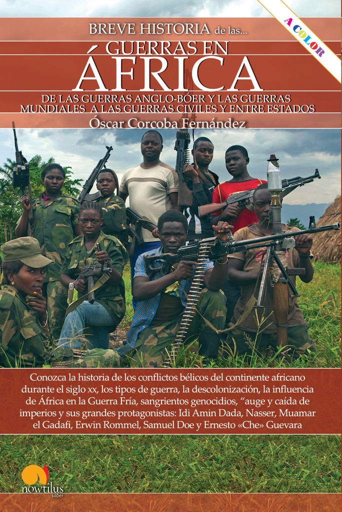 Breve historia de las guerras en África