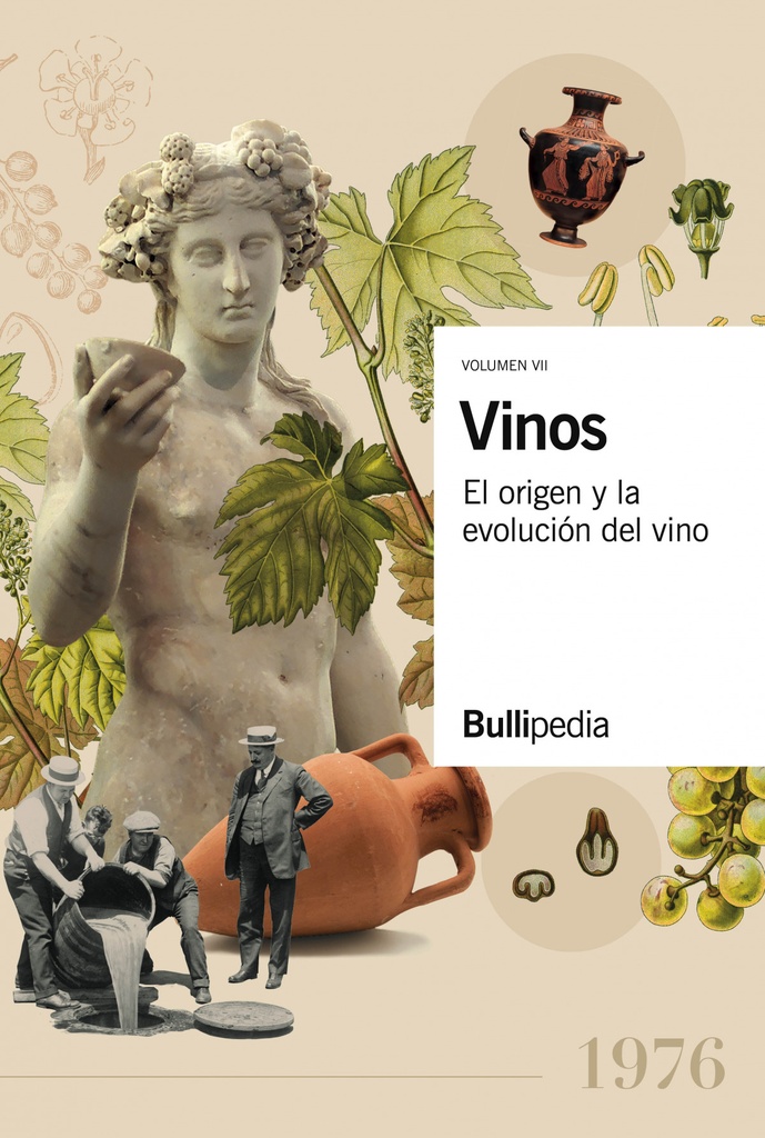 Vinos:el origen y la evolucion del vino