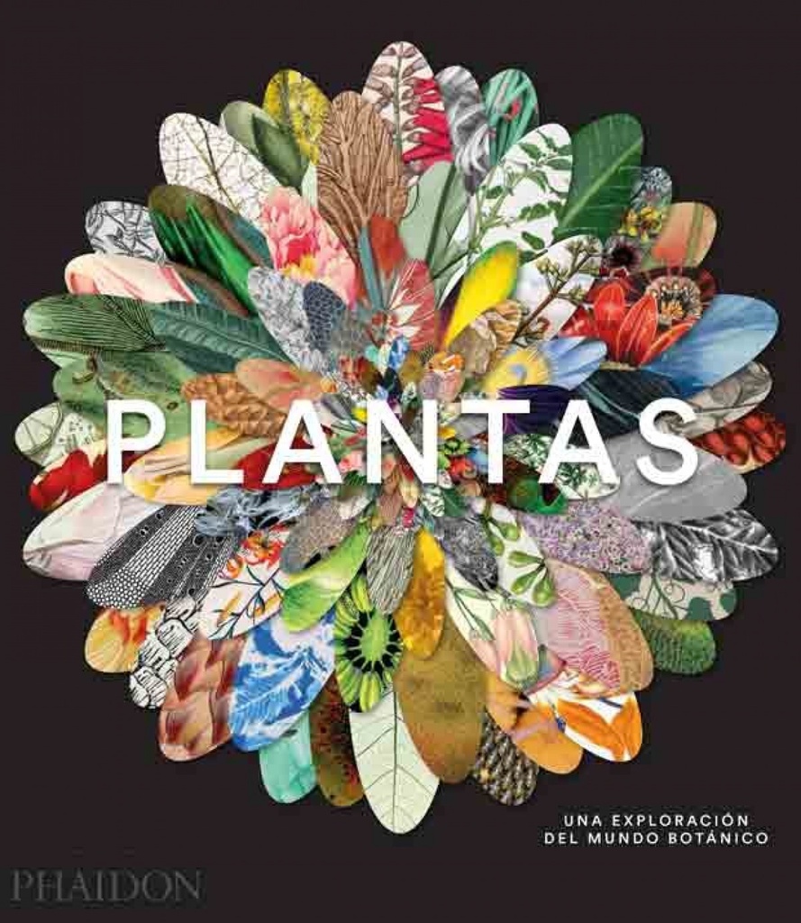 PLANTAS