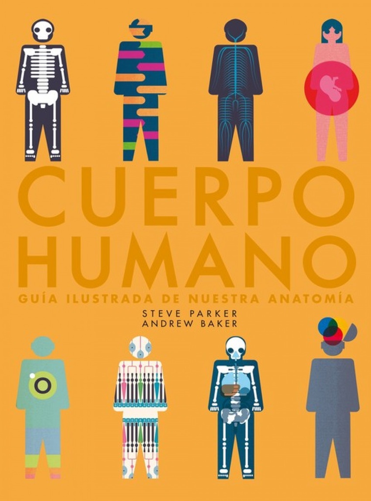 CUERPO HUMANO