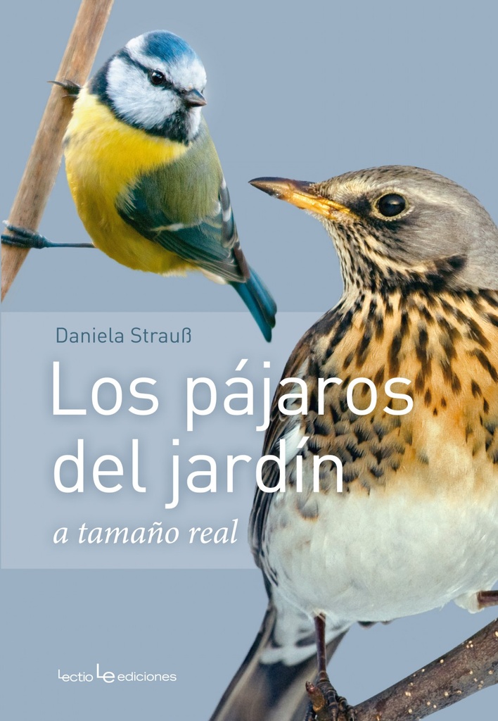 LOS PÁJAROS DEL JARDÍN