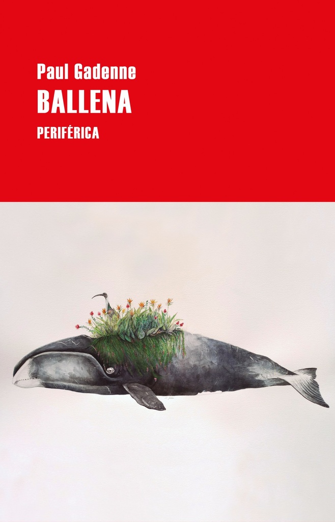 Ballena