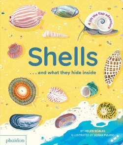 Shellsàand What they hide Inside