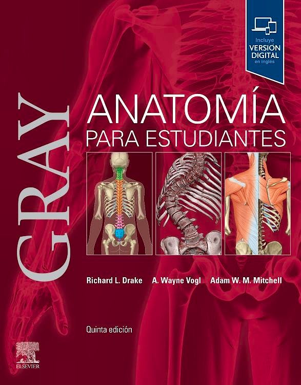 GRAY ANATOMIA PARA ESTUDIANTES 5ª ED