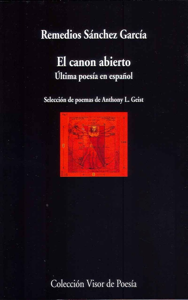 El canon abierto