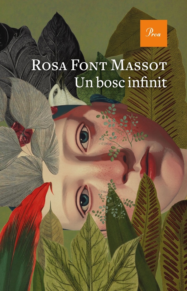 Un bosc infinit