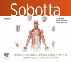 SOBOTTA TABLAS DE MUSCULOS ARTICULACIONES Y NERVIOS 4ª ED