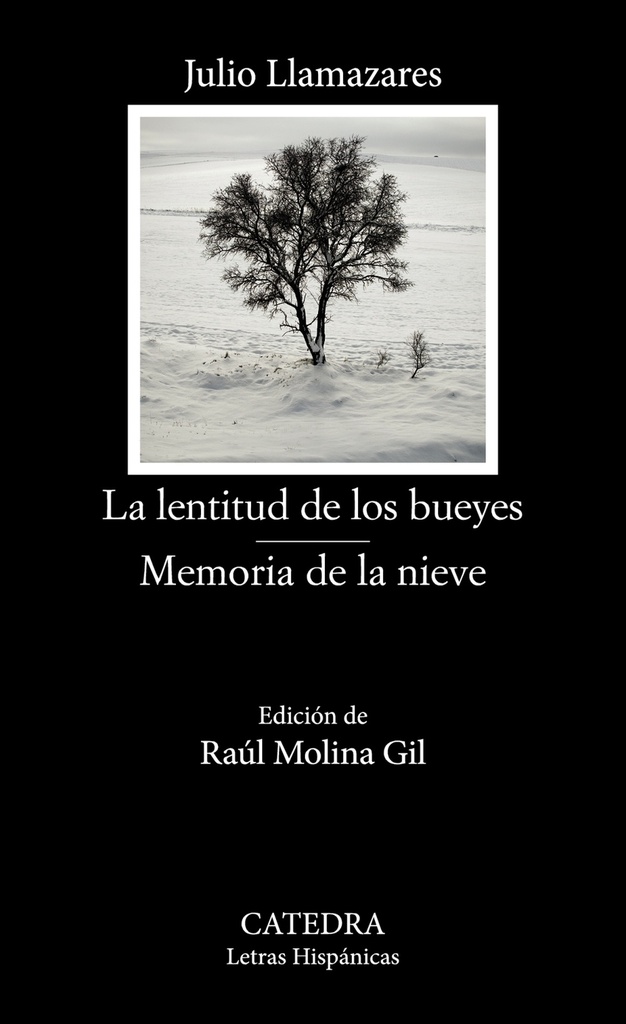 La lentitud de los bueyes;Memoria de la nieve