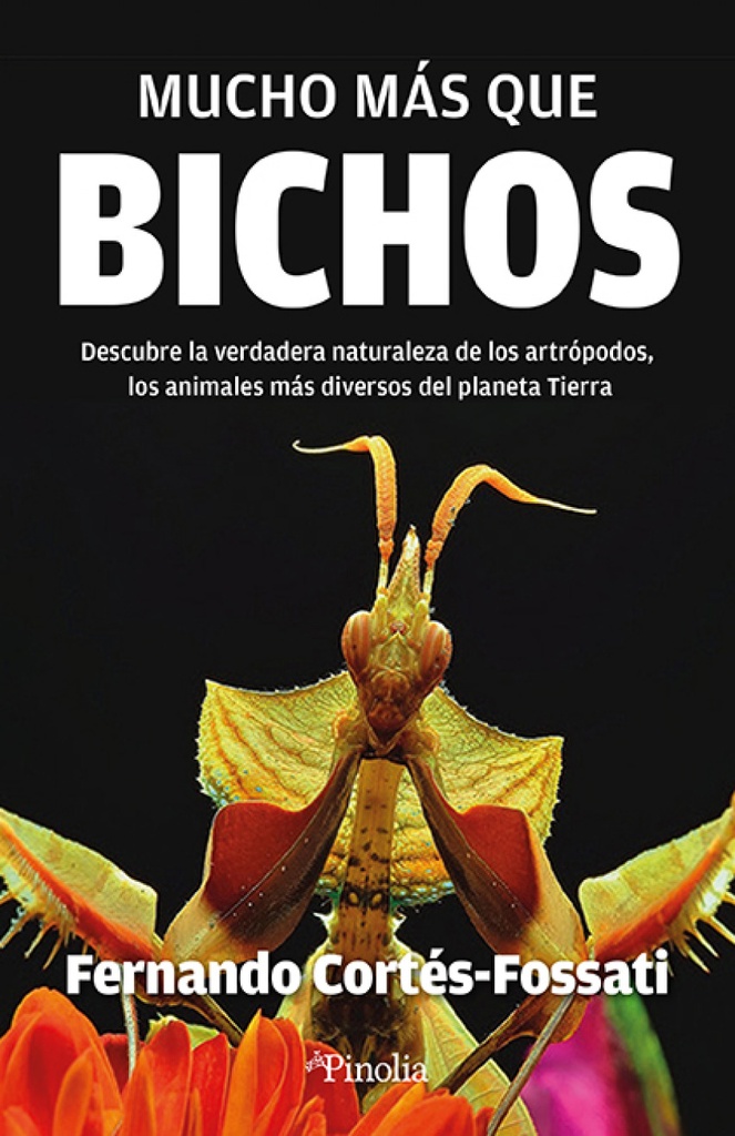 Mucho más que bichos